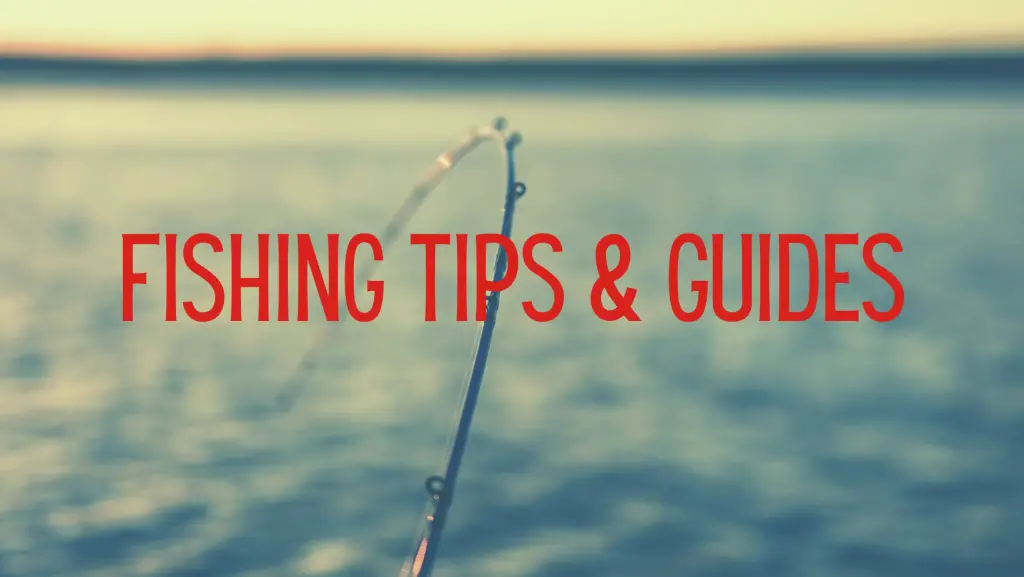 Fishing Tips & Guides