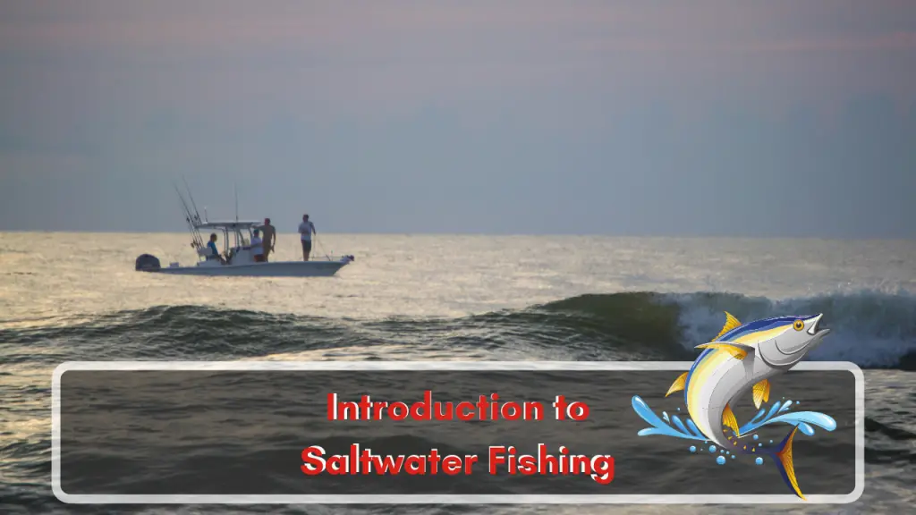 Saltwater Fishing Basics