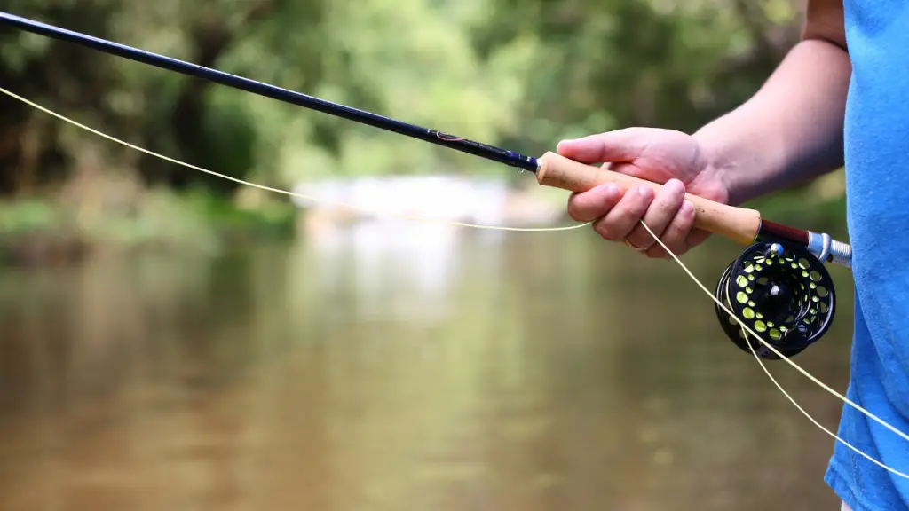 Fly Fishing Rod