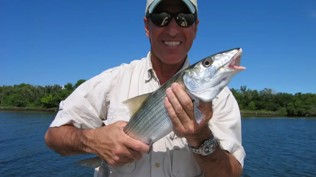 saltwater fishing in flats