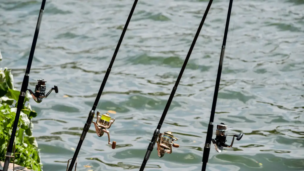 best ultralight fishing rods