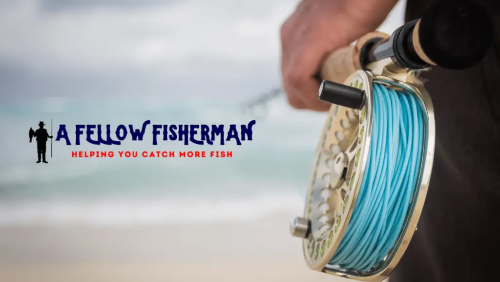 best rod and reel combo for fly fishing