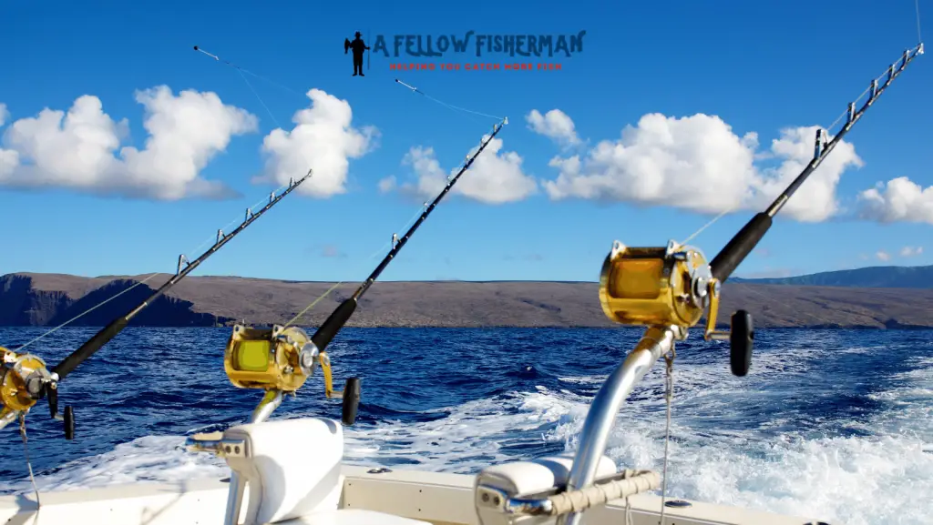 best offshore fish finder