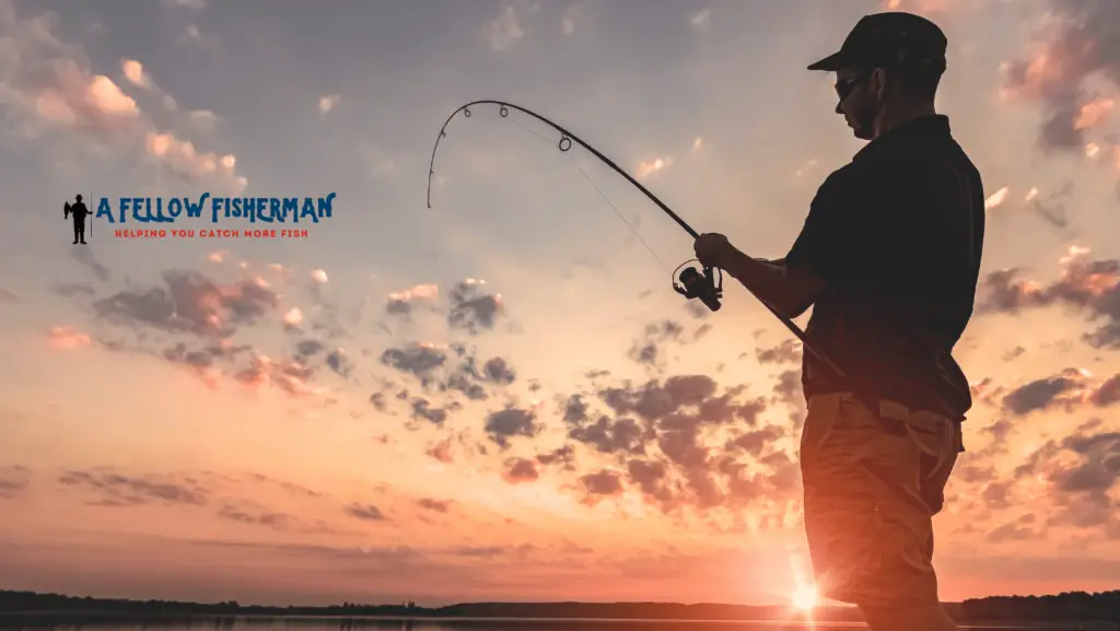 Fishing during sunset