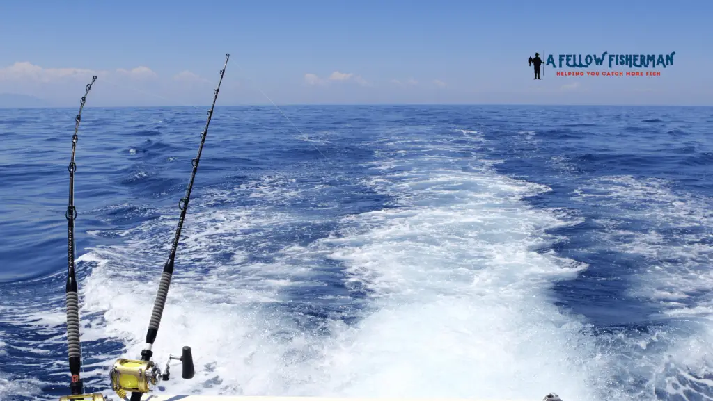 fishing rods offshore
