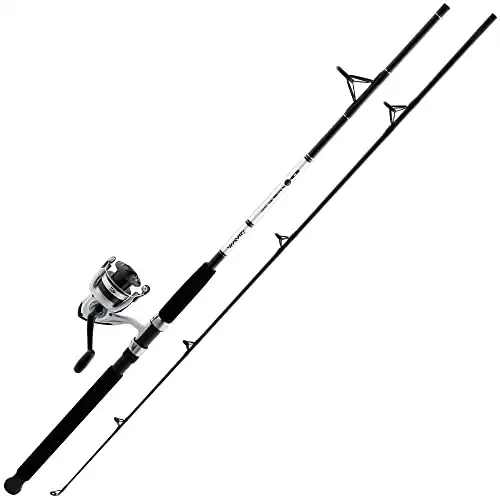 Daiwa D-Wave Saltwater Spinning Combo (2 Piece)