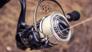 line on a spinning reel