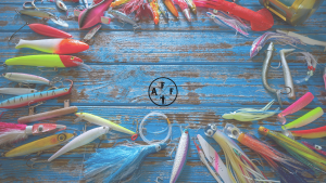 fishing lure color selection chart