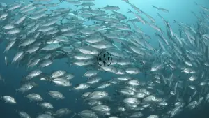 how many fish live in the ocean