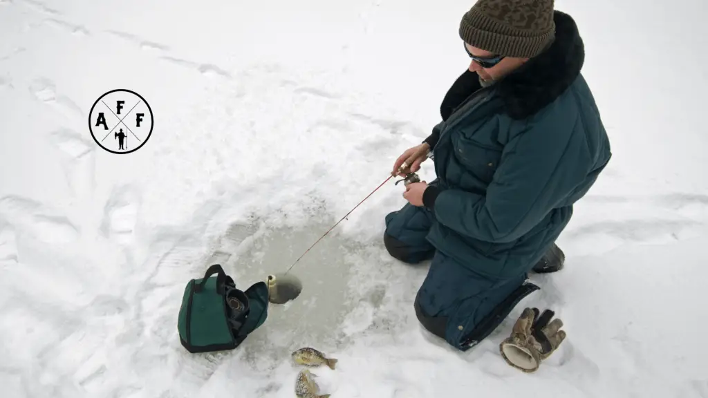 best ice fishing lures