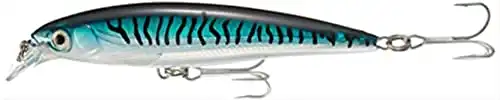 Rapala X-Rap Saltwater Fishing lure, 4-Inch, Silver Blue Mackerel