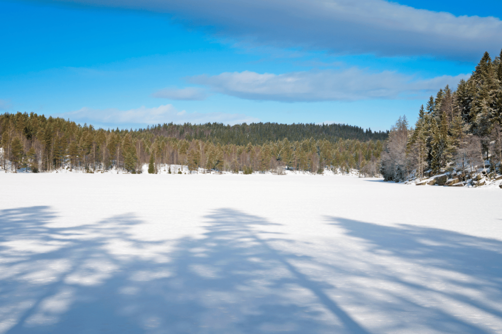 Ice fishing packages on lake of the woods.